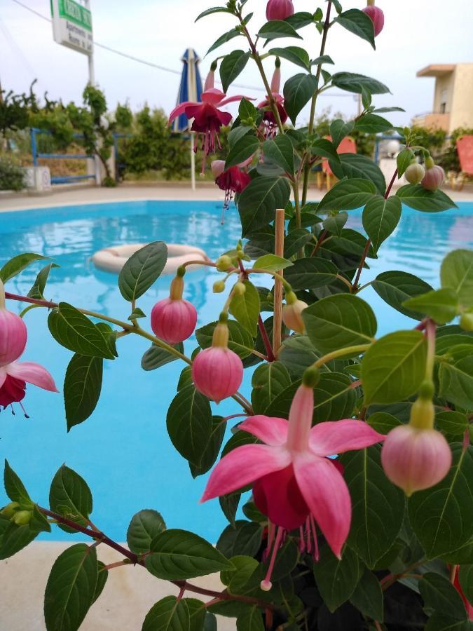 Creta Sun Hotel Studios Agia Pelagia  Exterior foto