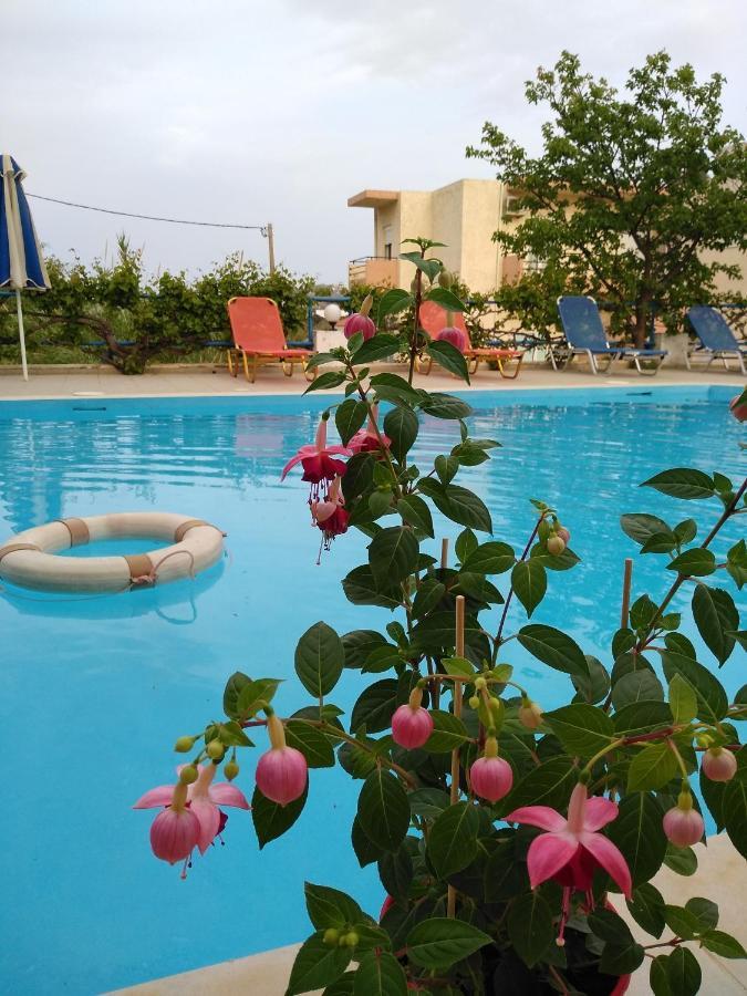 Creta Sun Hotel Studios Agia Pelagia  Exterior foto