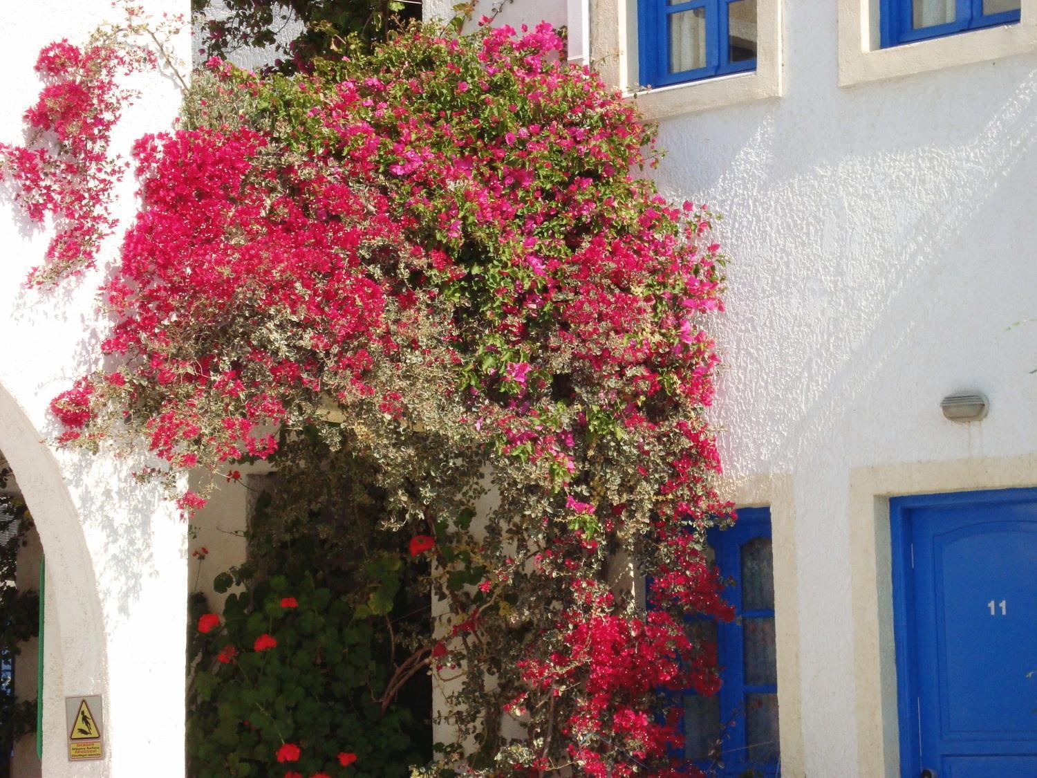 Creta Sun Hotel Studios Agia Pelagia  Exterior foto